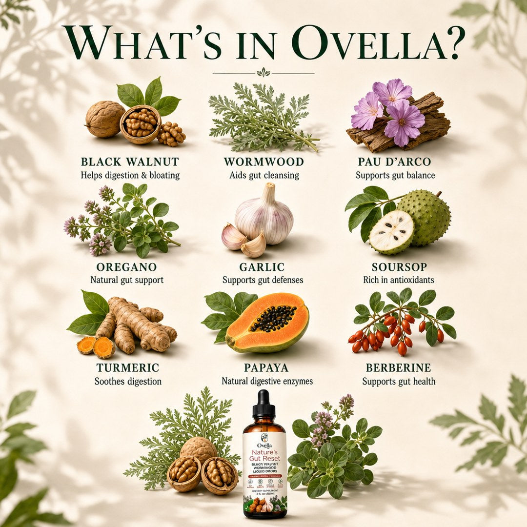 What is in Ovella and why does it work