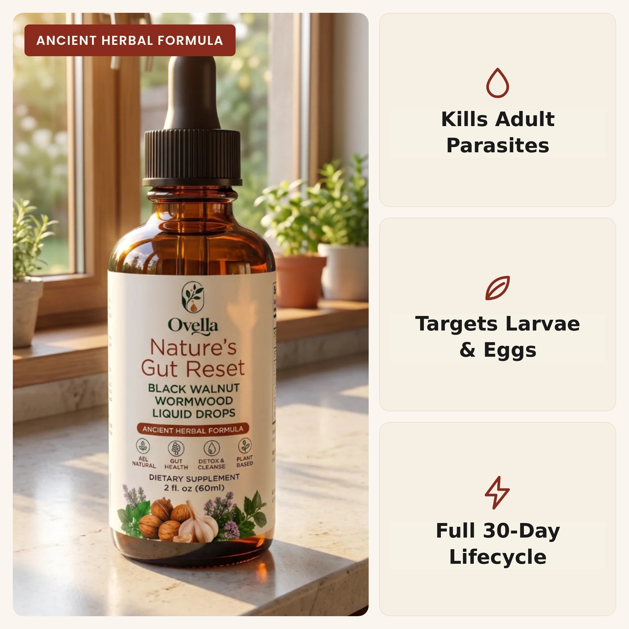 Ovella gut cleanse drops — reduces bloating, gentle gut cleanse, energy and focus